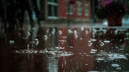 Närbild på regn