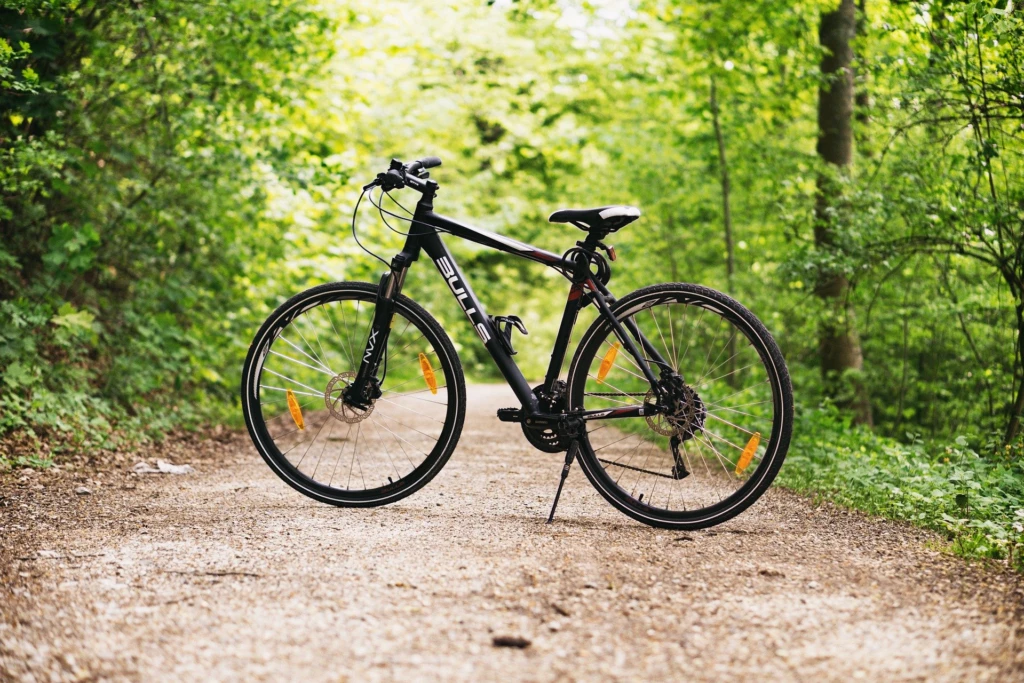 Cykel på en skogsstid