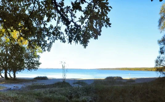 Vombsjön, vy från land ut över vattnet.
