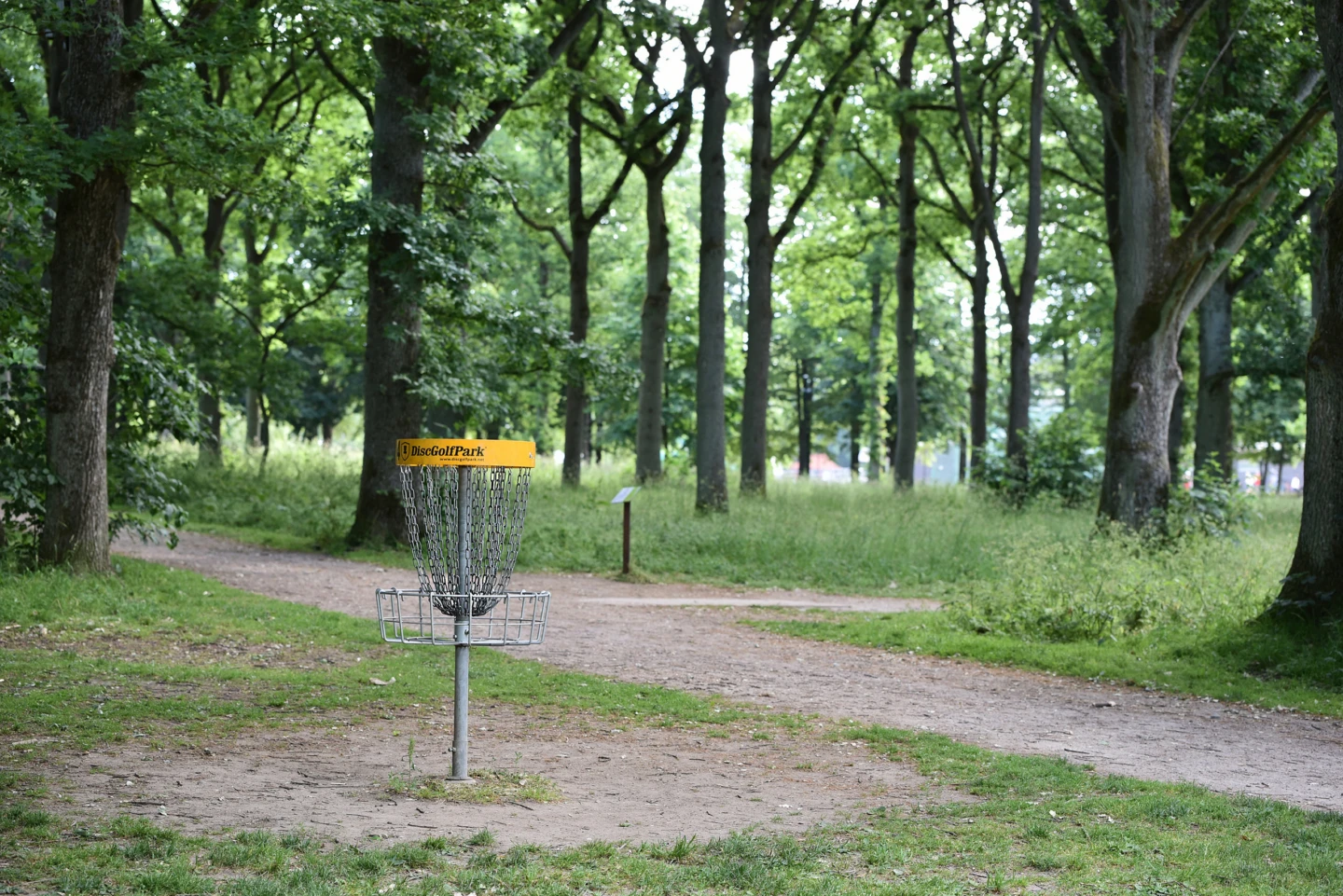 En korg för discgolf som står i ett skogsparti