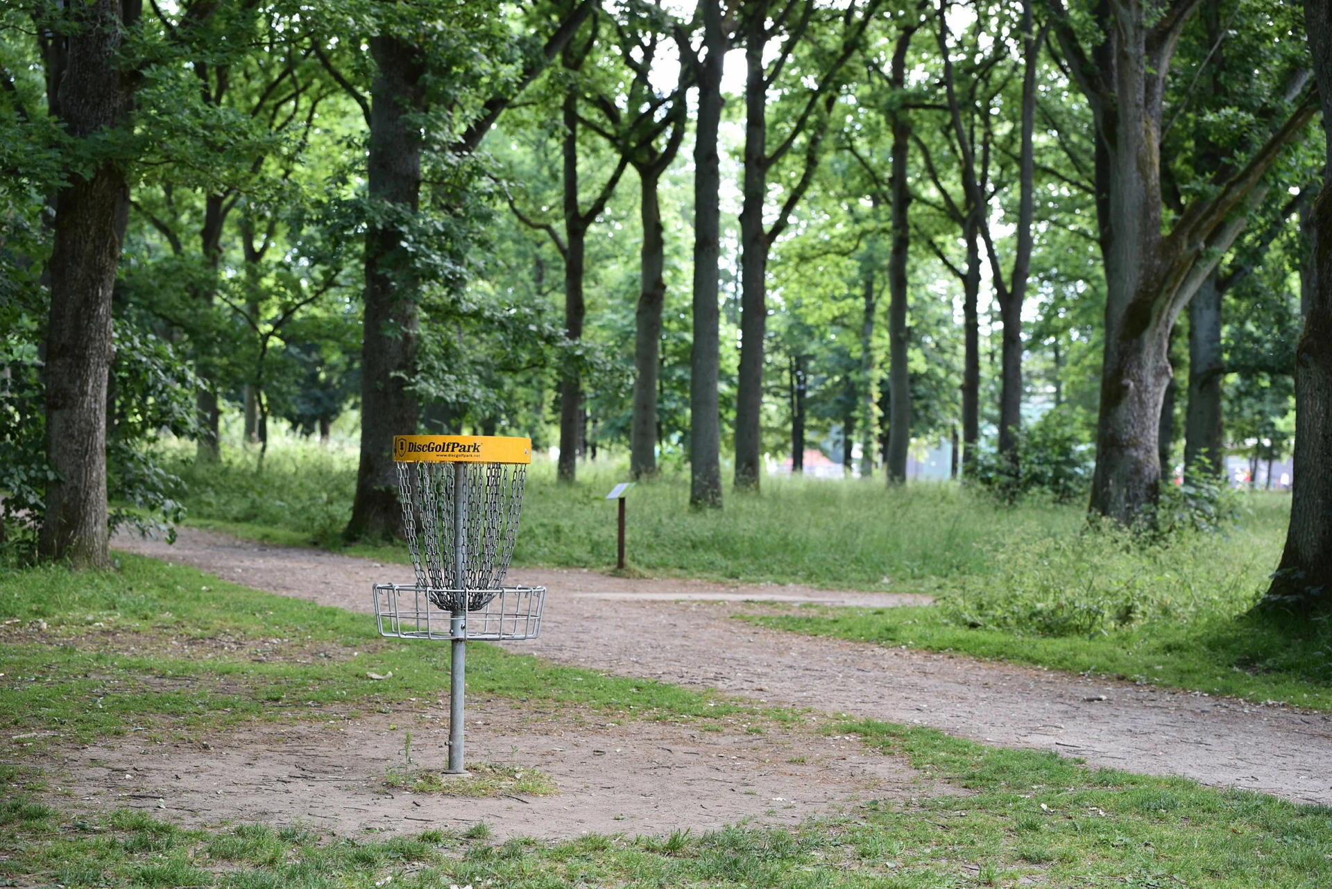 En korg för discgolf som står i ett skogsparti
